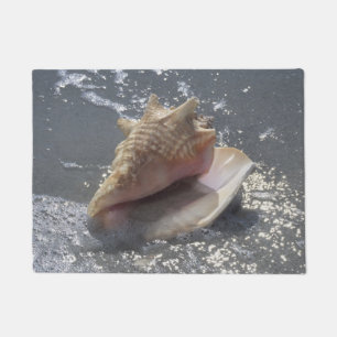 Tapete Seashell na ilha da praia Sanibel, Florida