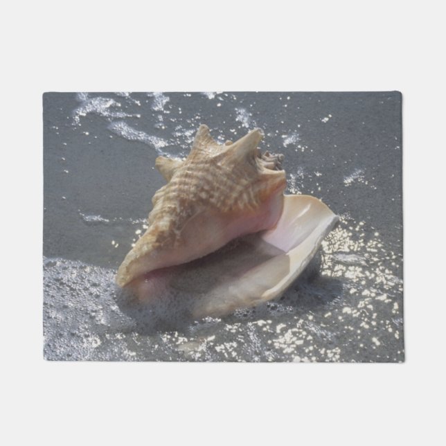 Tapete Seashell na ilha da praia | Sanibel, Florida (Frente)