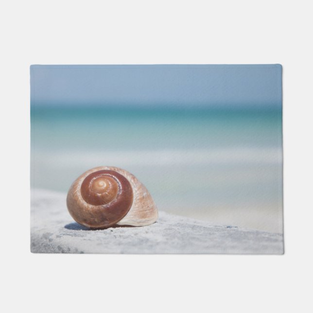 Tapete Seashell | St Petersburg, Florida (Frente)