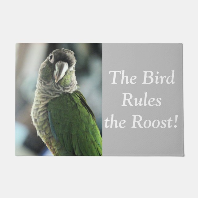 Tapete Sem mais ouriço (Frente)