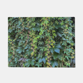Tapete Serene Green Ivy Wall Prendendo Folhas de Plantas