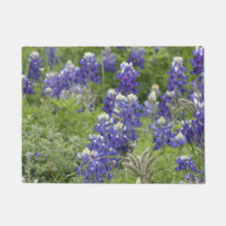 Tapete Série SJefferson Texas Bluebonnets nº 2