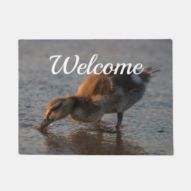 Tapete Sesty Baby Welcome Doormat (Frente)
