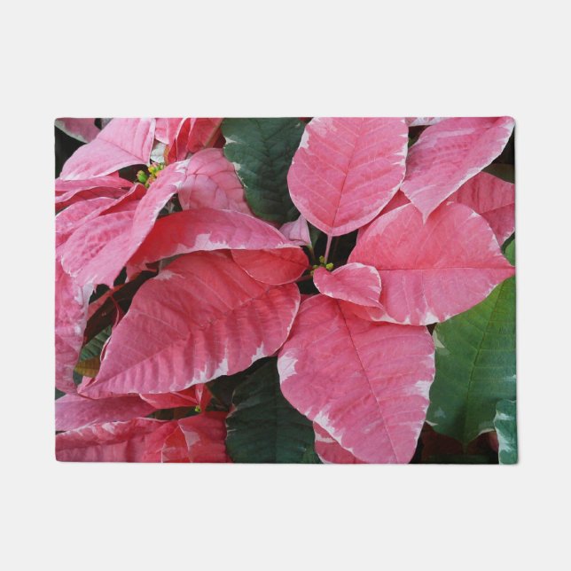 Tapete Silver Star Marble Poinsettias Feriado Rosa Floral (Frente)
