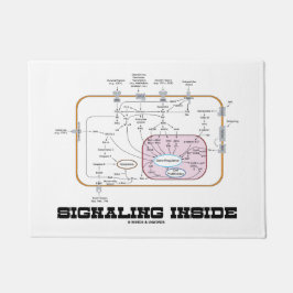 Tapete Sinalização dentro dos caminhos da transdução do