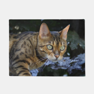 Tapete Sneaking Bengal Cat