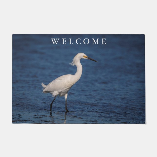 Tapete Snowy Egret em North Beach (Frente)