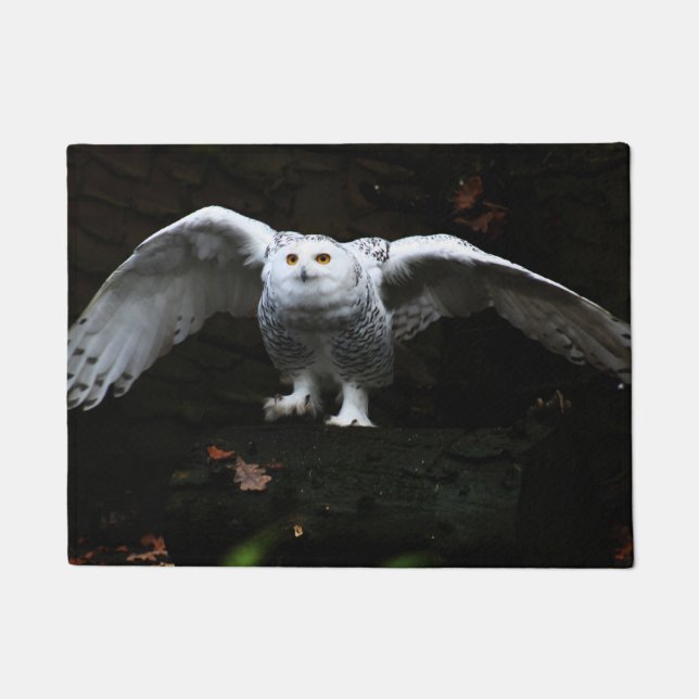 Tapete Snowy Owl com dmcna Open Wings (Frente)