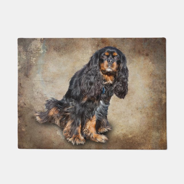 TAPETE SPANIEL (Frente)