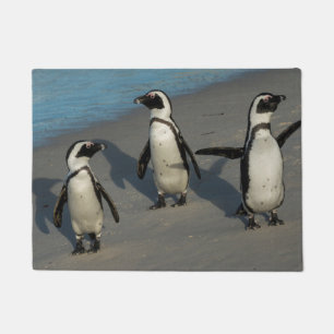 Tapete Spheniscus africano Demersus dos pinguins  