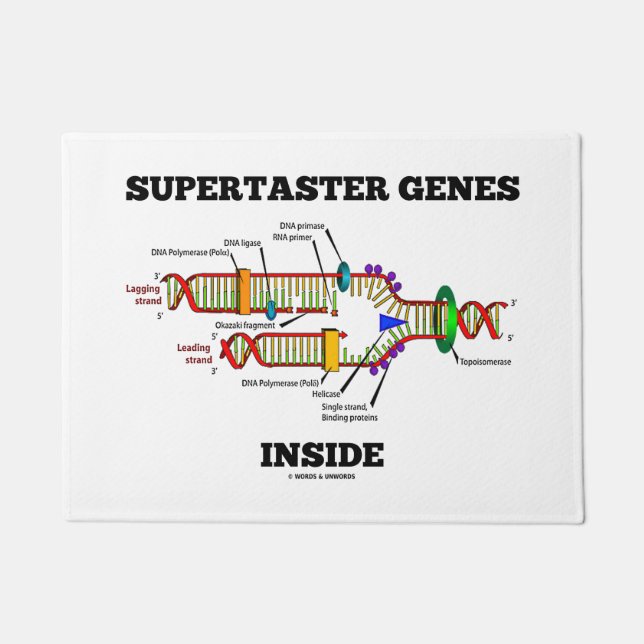 Tapete Supertaster Genes Dentro do Humor de Replicação de (Frente)