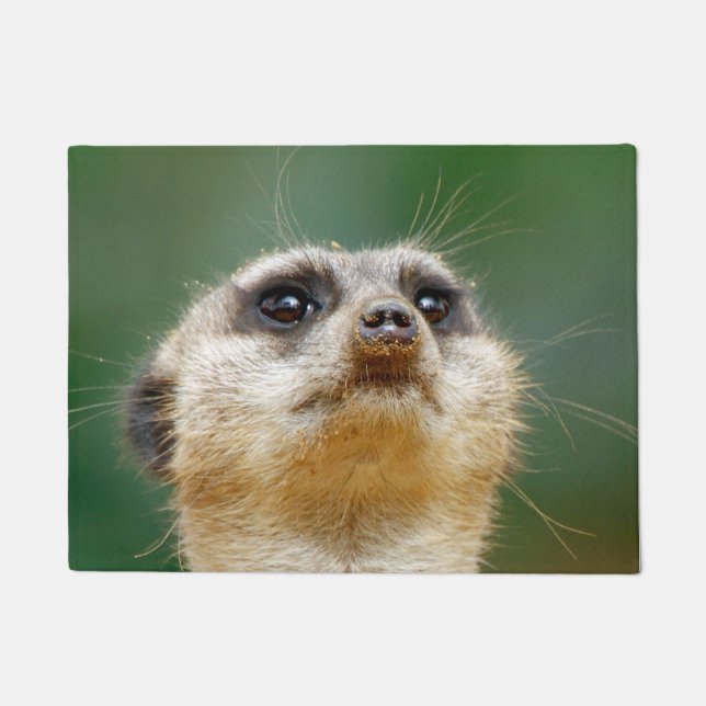 Tapete Suricata 012 (Frente)