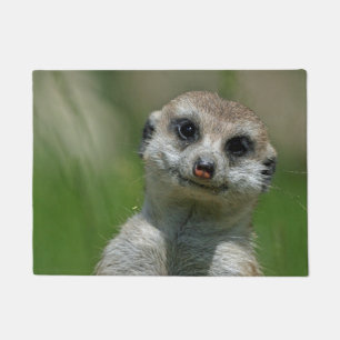 Tapete Suricata 013