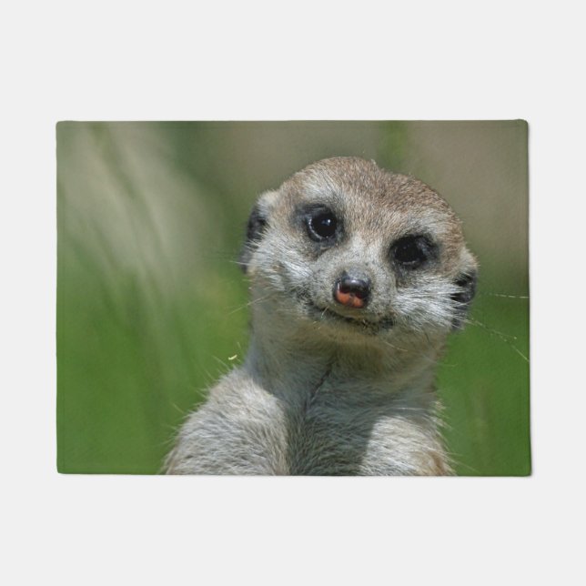Tapete Suricata 013 (Frente)