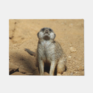 Tapete Suricata 031
