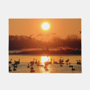 Tapete Swans ao nascer do sol