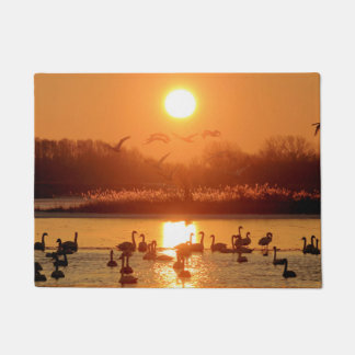 Tapete Swans ao nascer do sol