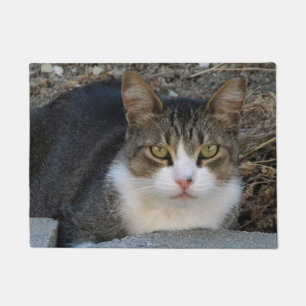 Tapete Tabby Cat com porta de olhos verdes