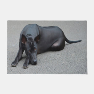 Tapete Tailandês Ridgeback Dog