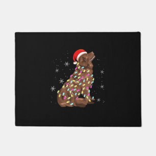 Tapete Terra Nova - Luz de Natal Sobrenome De Cães