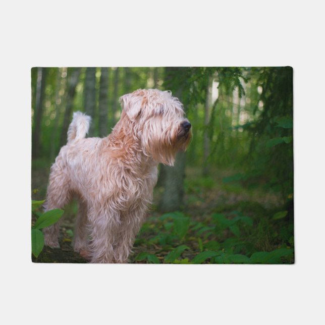 Tapete Terrier Wheaten. (Frente)