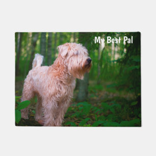 Tapete Terrier Wheaten.