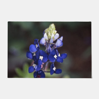 Tapete Texas Bluebonnet Door Mat