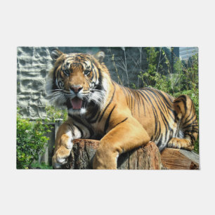 Tapete Tigre