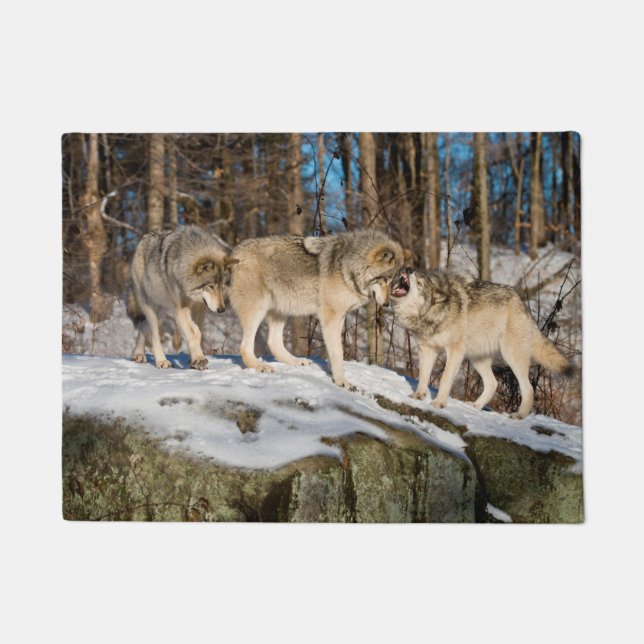 Tapete Timber Wolves (Frente)