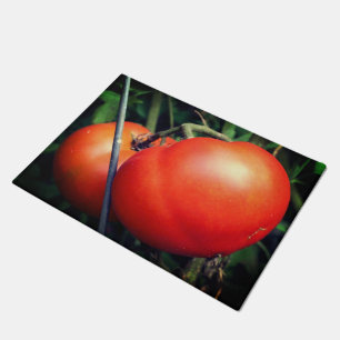 Tapete Tomates De Jardim Vermelho Na Vinha
