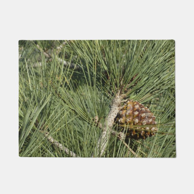 Tapete Torrey Pine Closeup California Botanical (Frente)