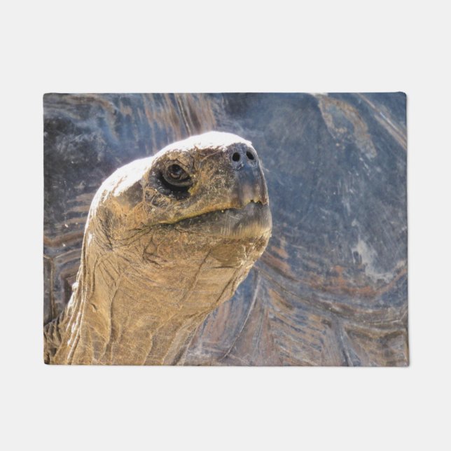Tapete Tortoise de boas-vindas - porta (Frente)