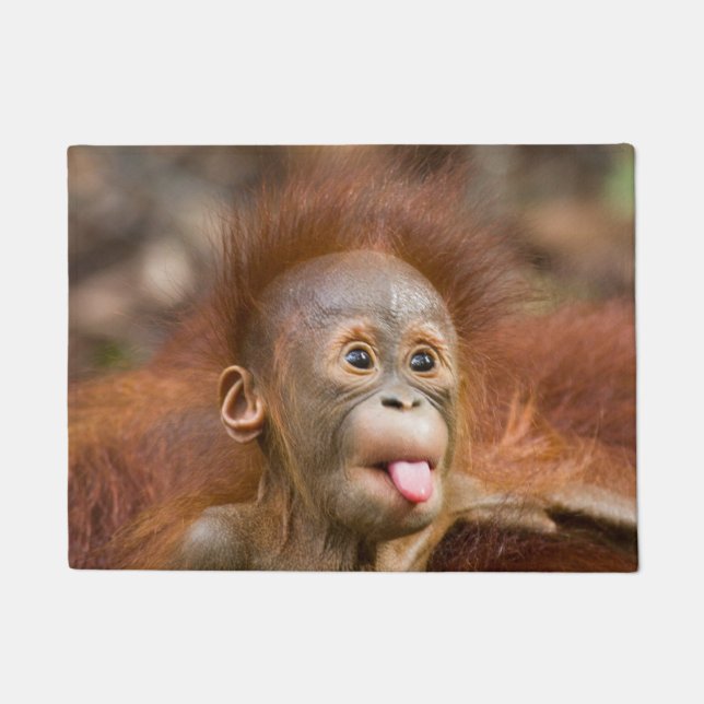 Tapete Trabalhos sujos (Frente)