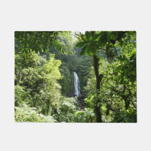 Tapete Traffic Falls Tropical RainForest Fotografia