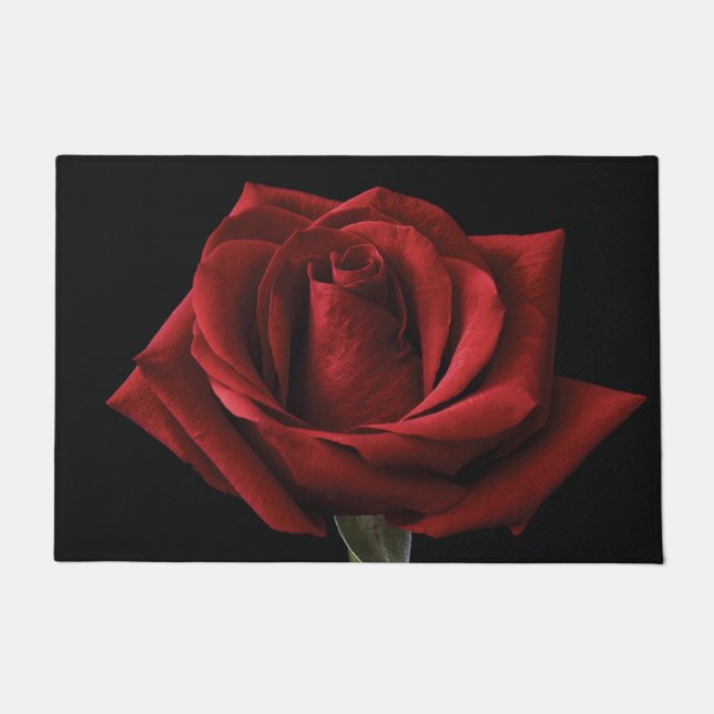 Tapete travesseiro decorativo rosa vermelha (Frente)