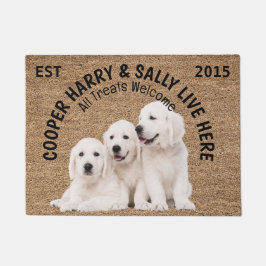 Tapete Três Cães Personalizados