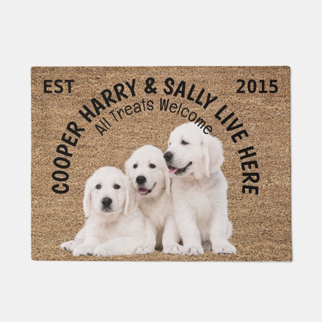 Tapete Três Cães Personalizados (Frente)