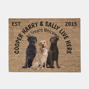 Tapete Três Cães Personalizados