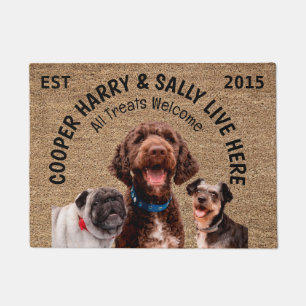 Tapete Três Cães Personalizados