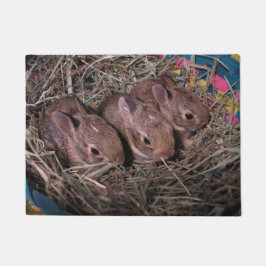 Tapete Três Em Uma Porta De Linha