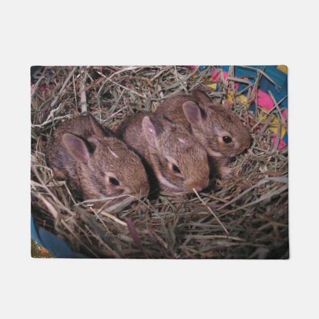 Tapete Três Em Uma Porta De Linha (Frente)