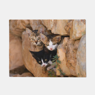 Tapete Três gatinhos curiosos