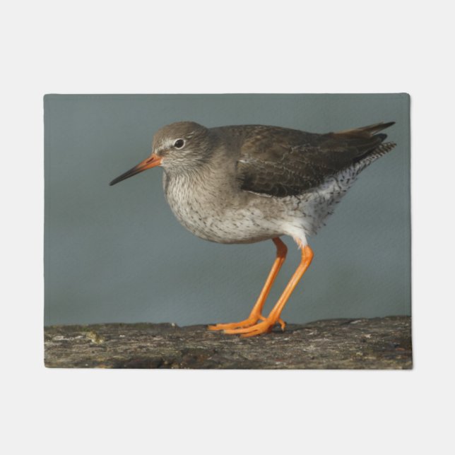 Tapete Tringa Totanus do Redshank | (Frente)