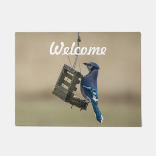 Tapete Trocando porta de boas-vindas do Blue Jay