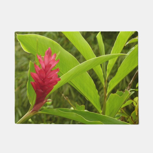 Tapete Tropical de Flor Vermelho Ginger (Alpinia) (Frente)
