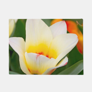 Tapete Tulipa branca