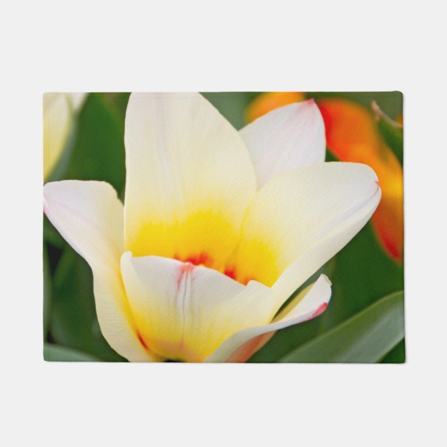 Tapete Tulipa branca (Frente)