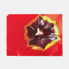 Tapete Tulipa Vermelha Escarlate