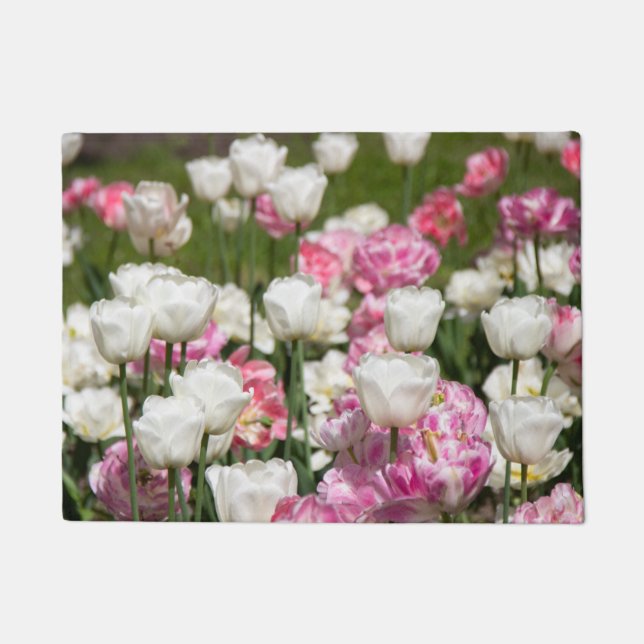 Tapete Tulipas brancas e cor-de-rosa brilhantes num dia e (Frente)