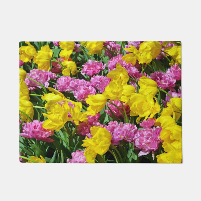 Tapete Tulipas de primavera cor rosa e amarela (Frente)